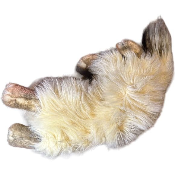 VTG Russ Berrie Yomiko Realistic Himalayan Cat Kitten Green Eyes Korea HTF - Picture 12 of 16